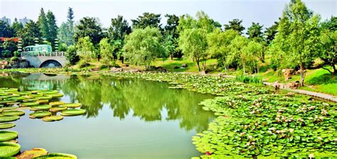  Hefei Yuhui Parkı: İnsanların Güzelliği ve Tarihi Keşfetmesi İçin Bir Yer!