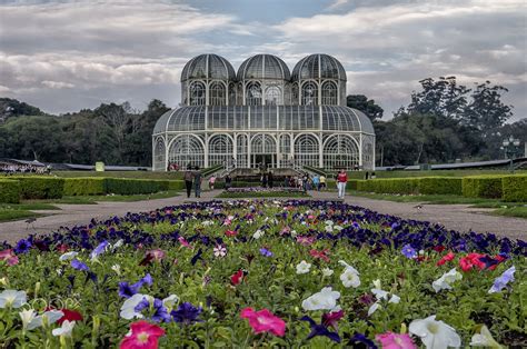  Jardim Botânico de Diamantina: Tarihi Bir Botanik Bahçesinde Zaman Yolculuğuna Çıkın!