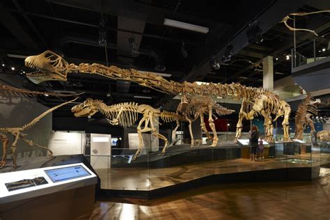  Linzhou Dinosaur Fossil Museum: Bilimsel Keşiflerle Dolu Bir Zaman Yolculuğu!