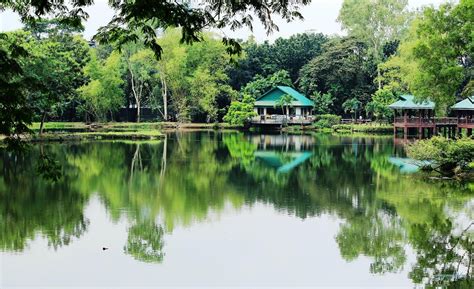  Ninoy Aquino Parks and Wildlife Center: Yeşil Bir Cennetin Kalbinde Vahşi Hayatı Keşfedin!