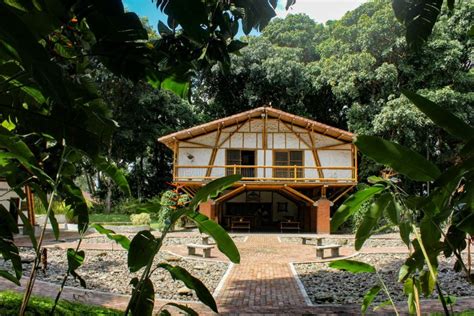  Quindío Botanical Garden: A Tropical Oasis Beckoning Nature Enthusiasts!